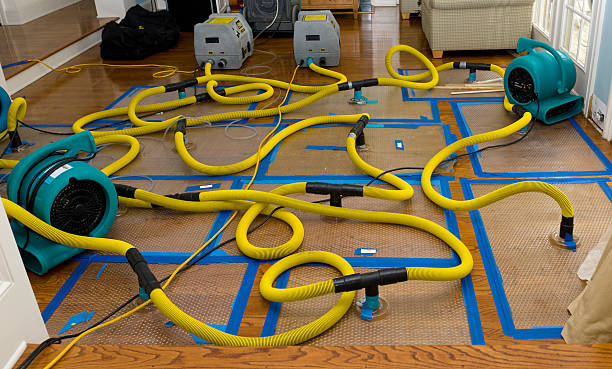 Professional Water Damage Restoration technician working in Clyde, OH